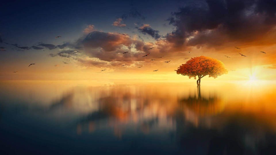 Stimmungsbild, Baum vor Sonnenuntergang mit Wolken und Vögeln am Himmel, veranschaulicht Hypnose Mannheim und Hypnosetherapie Mannheim